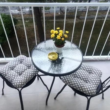 Triumph 스플리트